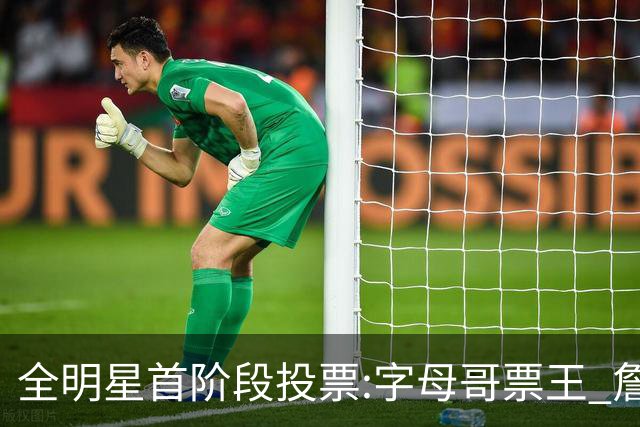 全明星首阶段投票:字母哥票王 詹姆斯西部票王